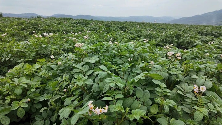 从全国两会看云煤集团：把准政策窗口期 在能源刷新中铸造新实力