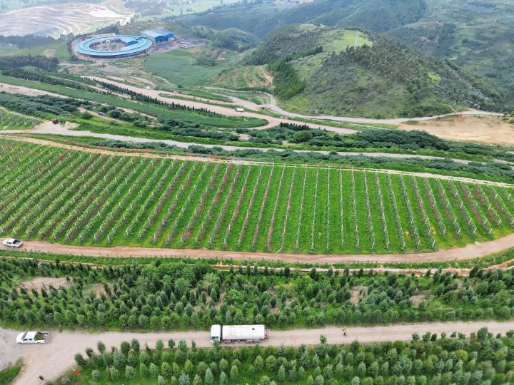 DJI_20250717133702_0005_V(1).jpg